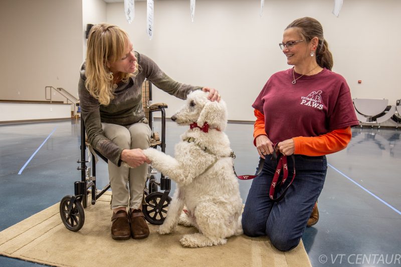 VT Helping Paws